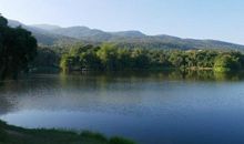 鼓励让人心静事成的句子