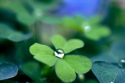不要把一个人放在你的心里太多