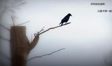 带心痛的句子说说心情短语