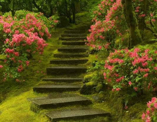 我期待着我的初恋的终结