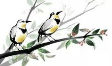 描写鸟的诗句大全