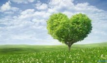 人生感悟的经典格言