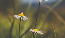 形容三观不合的经典句子