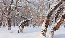 描写冬天美景的诗句