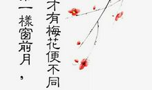 赞颂梅花的诗句古诗