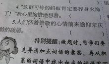 描写鸟的外形的句子