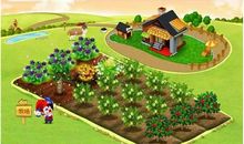 关于偷菜的哲理句子