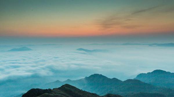 北风卷起了白草