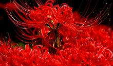 漫漫人生路下一句经典句子