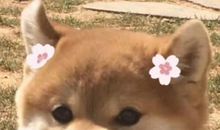 鼓励人开心的非主流句子