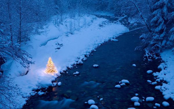 您是否担心圣诞节前夕没有短信