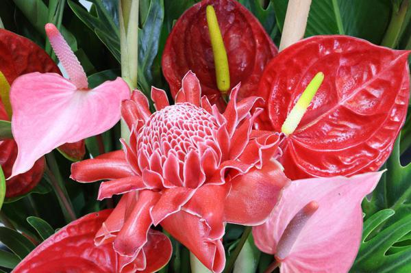 陪你写《瑞雪兆丰年》