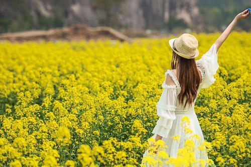 编辑整理了一些有关在春季旅行中表达幸福的句子