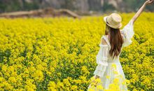 春游表达开心的句子