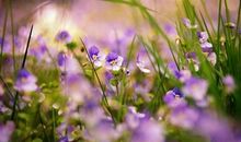 女人不要当黄脸婆的说说