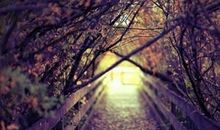 一个人一个命的说说