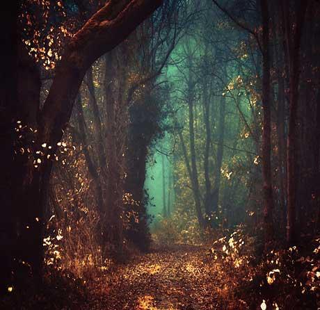 心不是整天都不冷