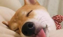 让对方开心自己也开心的句子