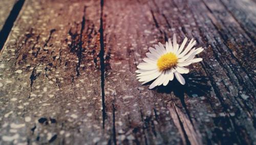 对所有穿着白色衣服的天使：谢谢