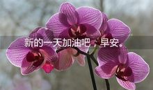 给自己新的一天加油的早安说说