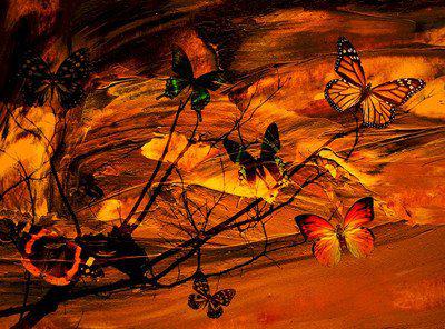 爱是男人的奢侈品