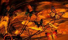 有哲理的感情句子