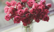 感恩亲人陪伴的句子