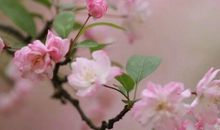 微信感情签名 微信感情说说心情短语