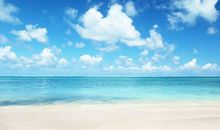 简单形容开心的句子