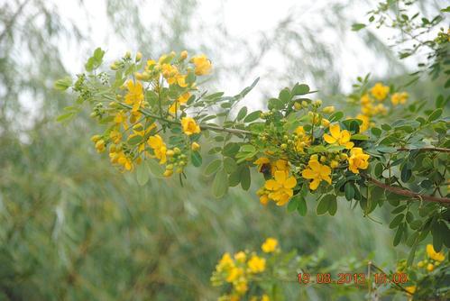 那是远离时间和心情的时刻