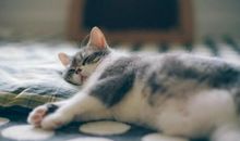 经典有趣的短语 有趣味性的句子