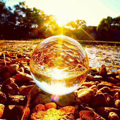 全脂蛋糕：富含油分