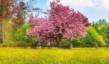 正能量句子语录集锦