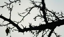 对家人失望的句子说说