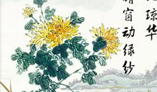 关于描写菊花的诗句