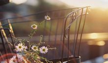 幸福就是什么的经典句子