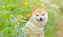 夏季朋友圈文案 关于夏天的文案短句