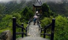 对婚姻心碎的句子