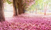 关于快乐幸福的句子汇总2019