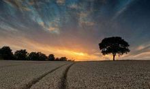 天气热给会员发问候短信