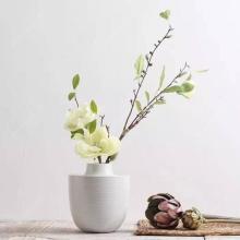 漂亮的句子描述了家庭 句子是语言使用的基本单位