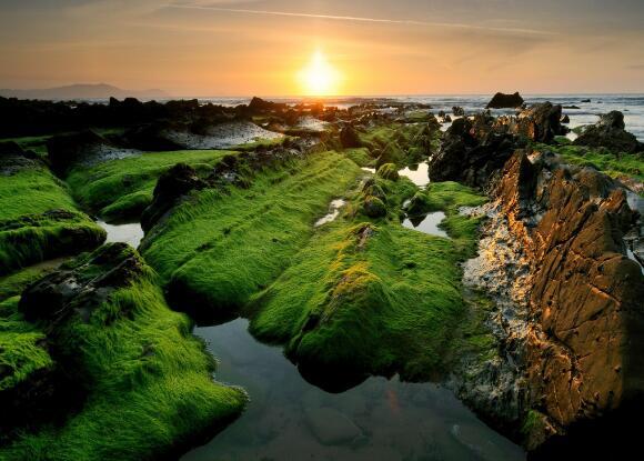    风的方向更适合飞行