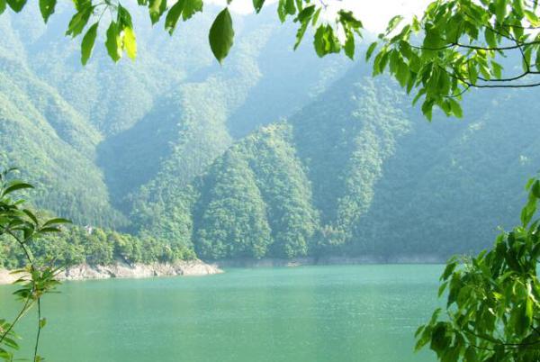    具有正阳光和正能量的句子    1