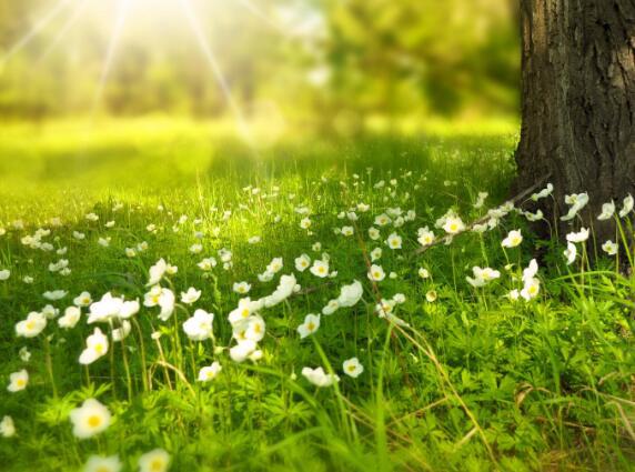   感伤的句子1   1