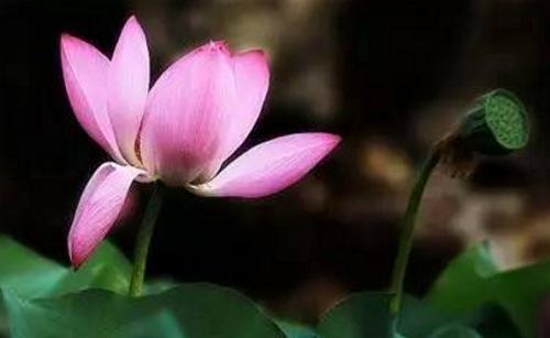 我将过上美好的生活