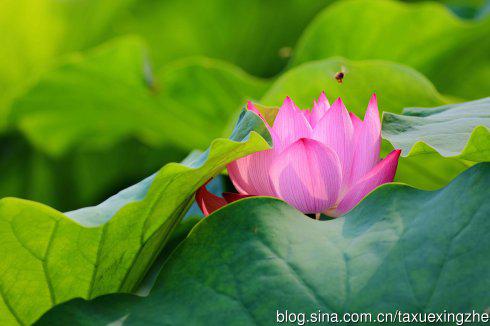 而不是为了其他