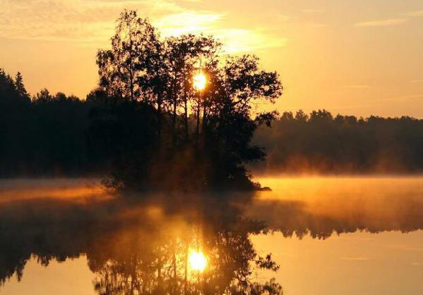   半夜的情感生活1   1