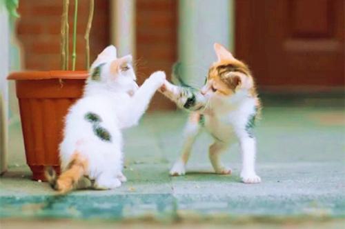 编辑编辑了一些有关家庭陪伴的句子