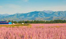 人生不如意的感悟句子