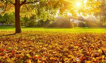 关于生活的人生哲理句子